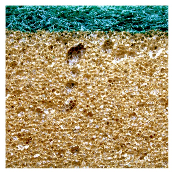 d2eeeb13839586f7a504d4e2e00215db