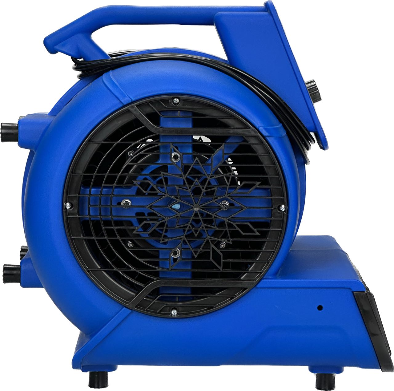 photo_2023-02-12_18-12-49