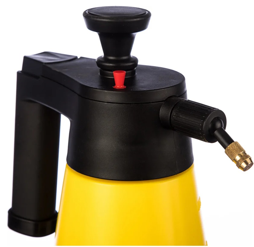 WhatsApp Image 2025-01-31 at 12.16.09