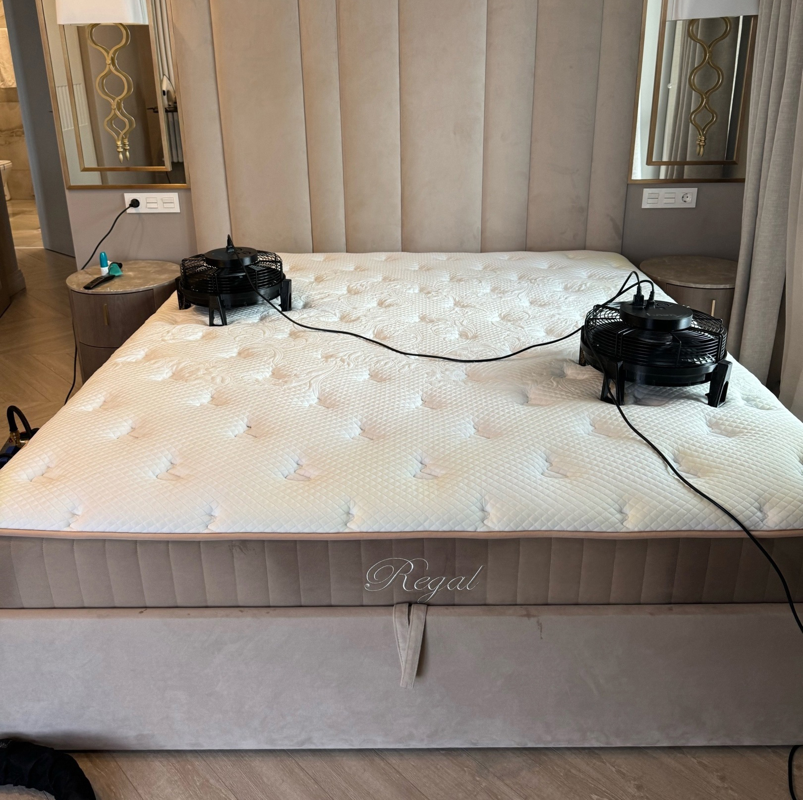 c4p7ruwel2kutgur321nfkz6yjnngarl