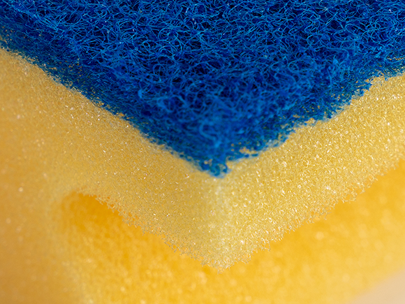 RU-Local-Scourer-delicate-macro