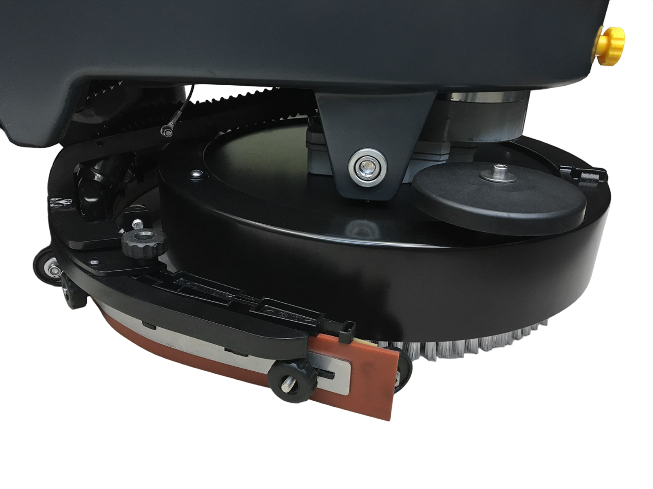 1563444031728-PhotoRoom.png-PhotoRoom