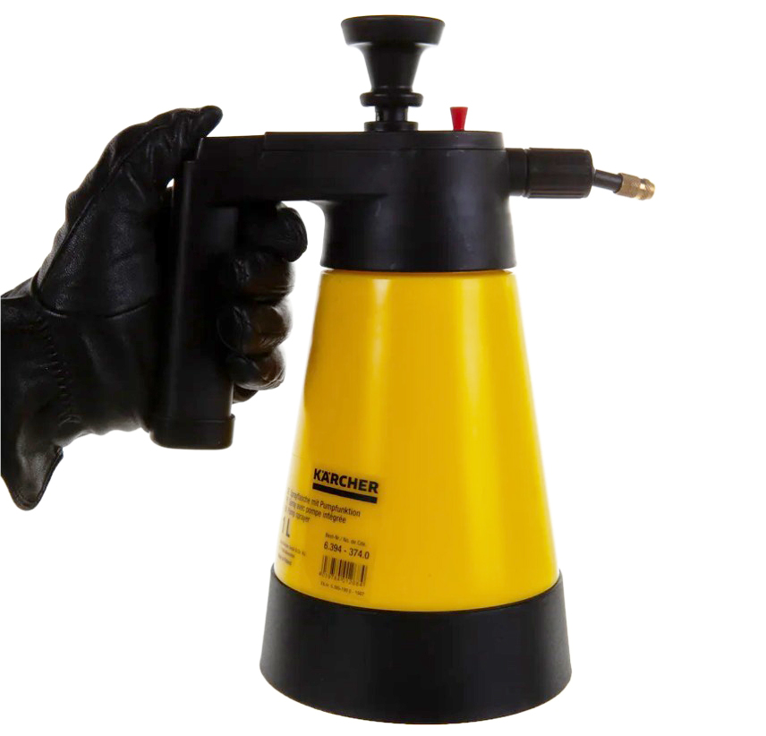 WhatsApp Image 2025-01-31 at 12.17.06