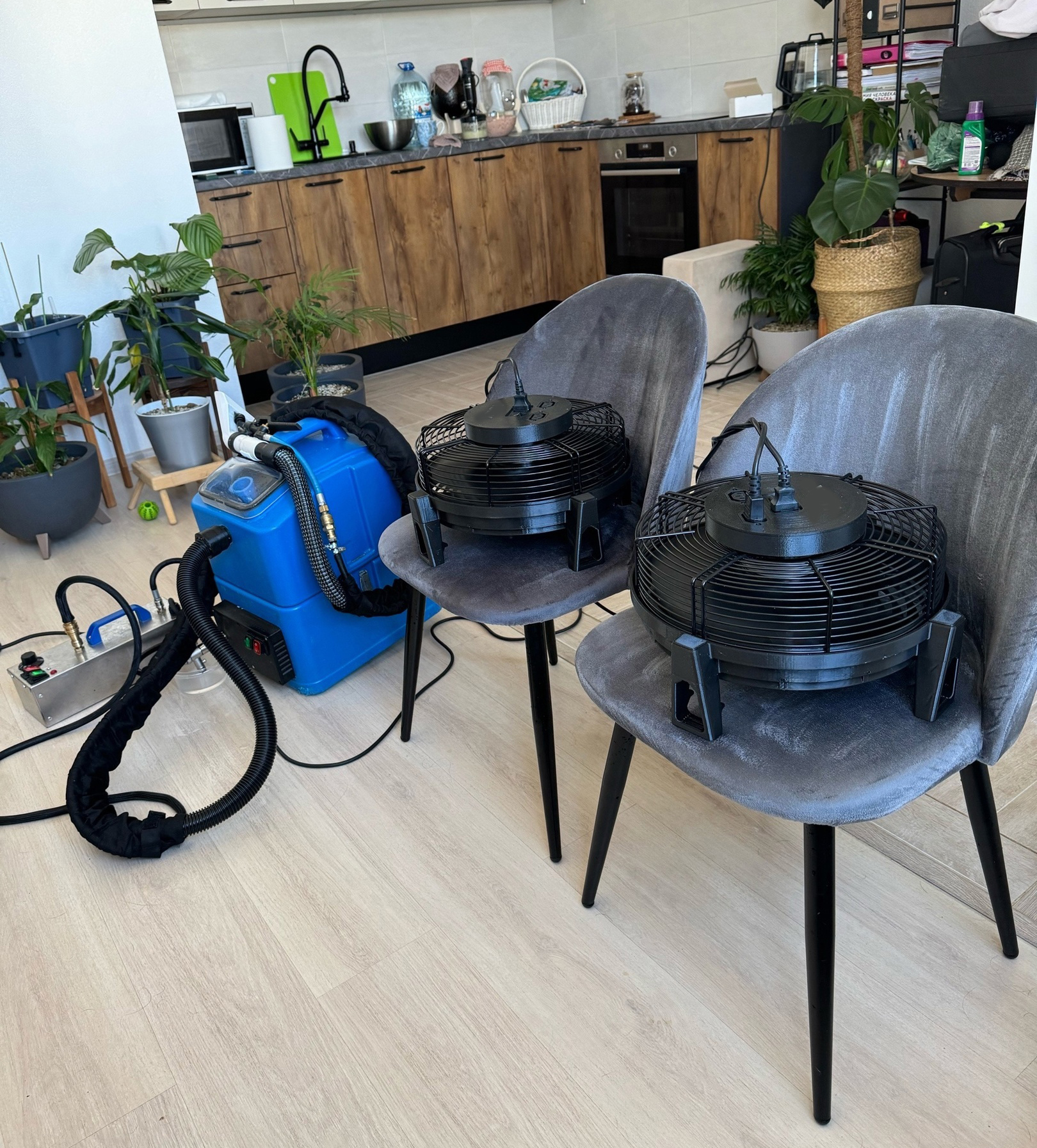 s88l08jg4fly00ll1y7mdkvezfgzuyy4