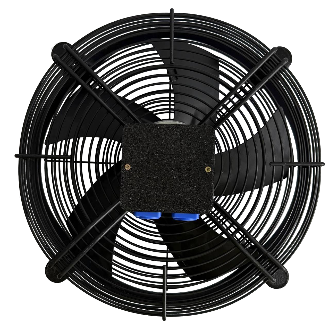 c0o1wbfnjf0ij2r8nwvduxz1uhh7krns-no-bg-preview (carve.photos)