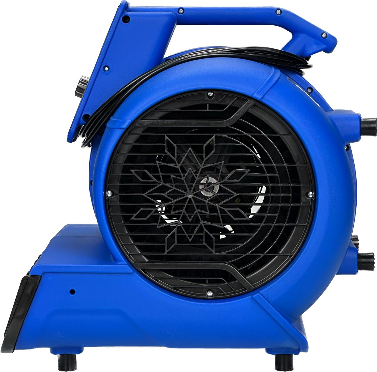 photo_2023-02-12_18-12-22