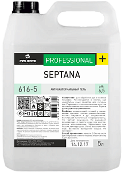 Фото Антибактериальный гель Septana, 5 л для клининга SEILOR