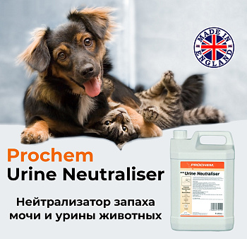 Фото Нейтрализатор запаха мочи и урины животных Urine Neutraliser Prochem, 5 л для клининга SEILOR Фото Нейтрализатор запаха мочи и урины животных Urine Neutraliser Prochem, 5 л для клининга SEILOR